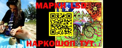 стаф Гай