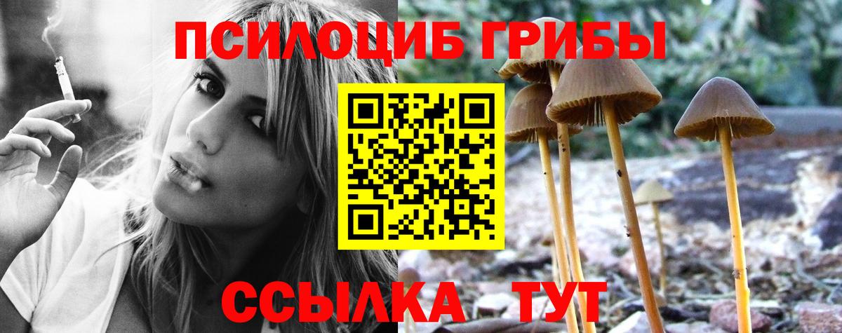 Галлюциногенные грибы Psilocybe  наркота  Екатеринбург  Вход с VPN 
